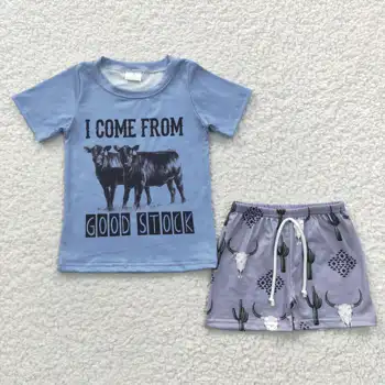 2023 Новые продукты RTS Baby Summer Fancy Outfit Детская одежда в западном стиле для мальчиков Комплект шорт для малышей 16
