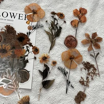 Наклейка из коллекции сушеных цветов для домашних ЖИВОТНЫХ, наклейки для растений, Креативный декор для коллажей 